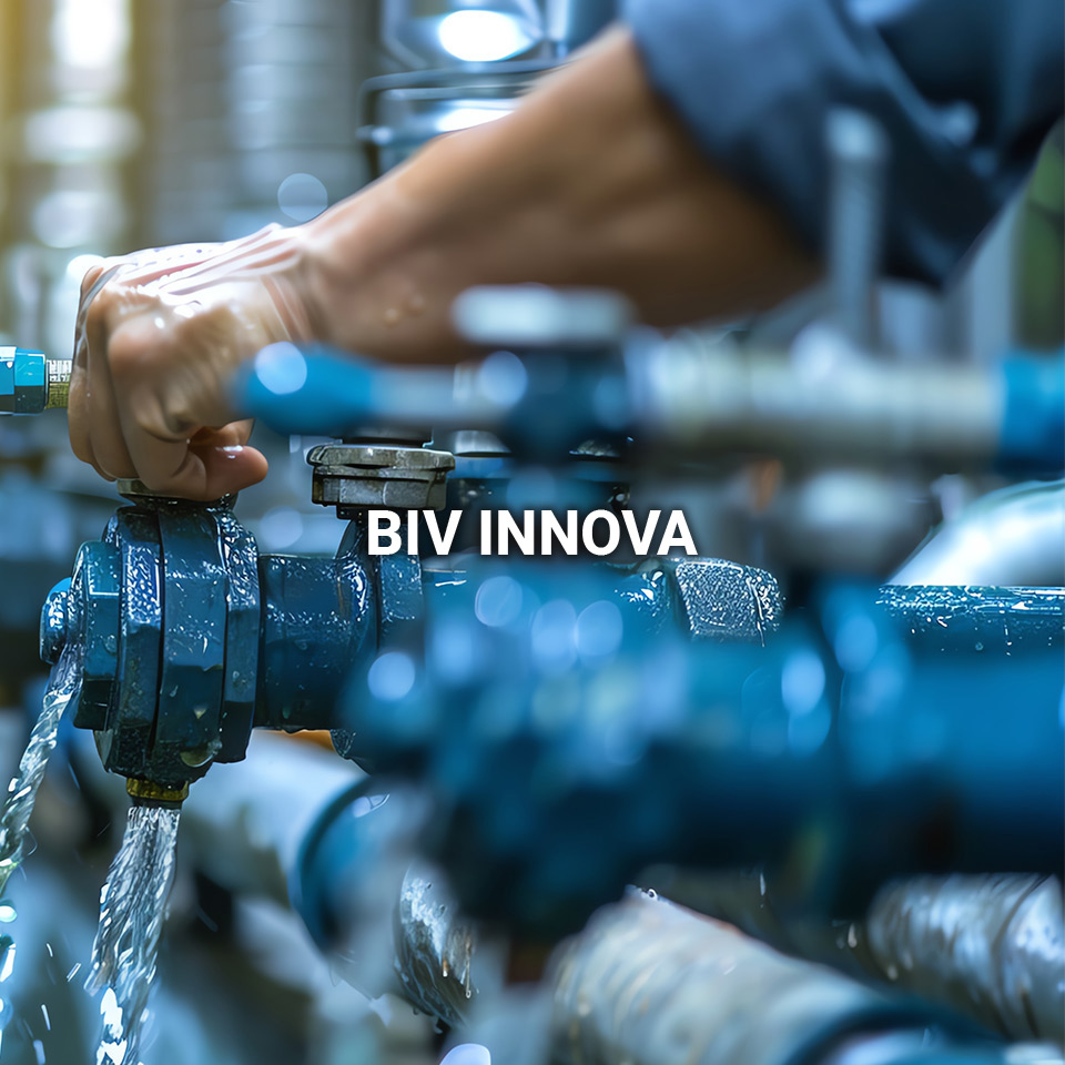 BIV INNOVA