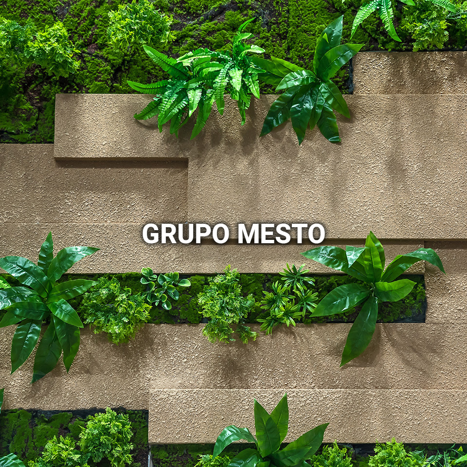 Grupo Mesto
